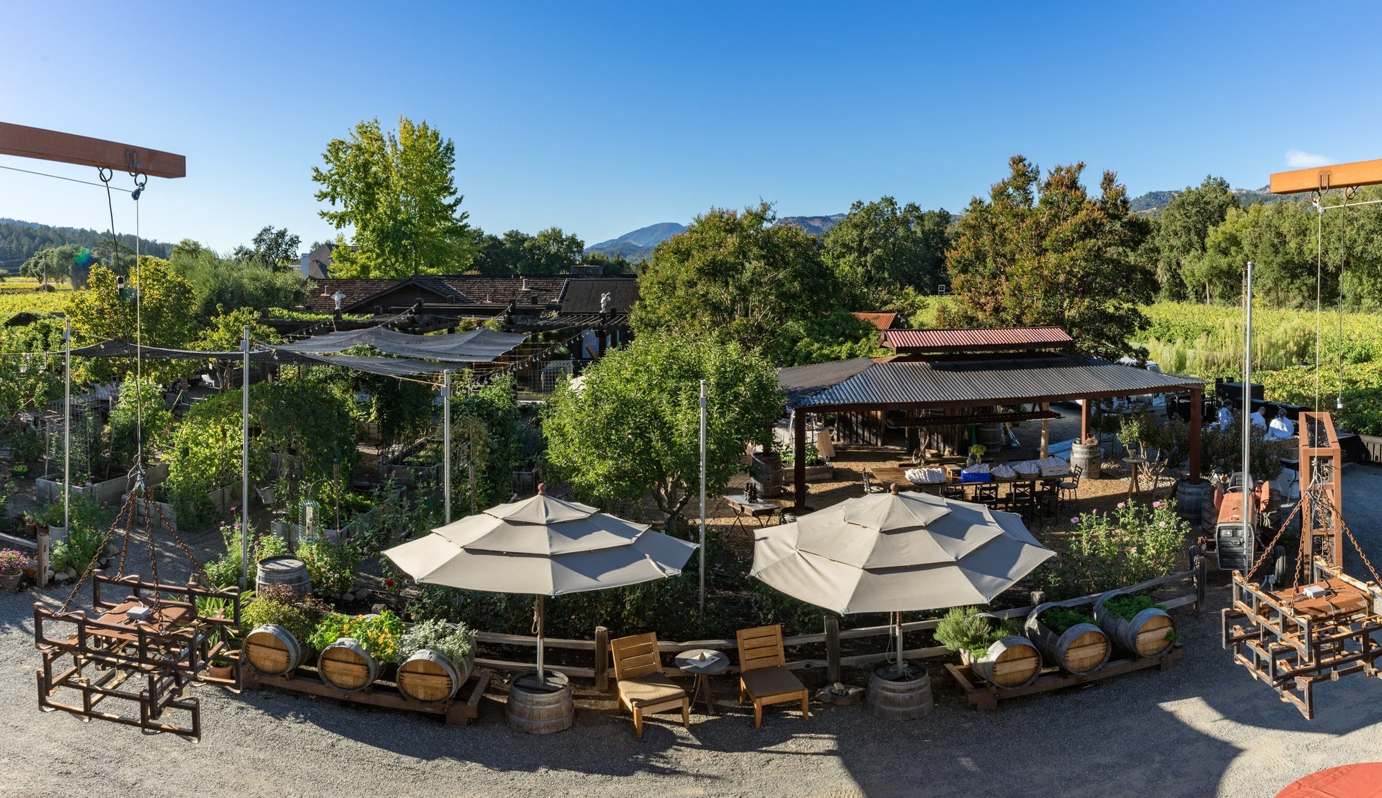 The History of Tudal Wine — From Vineyard Roots to a Legacy of Excellence