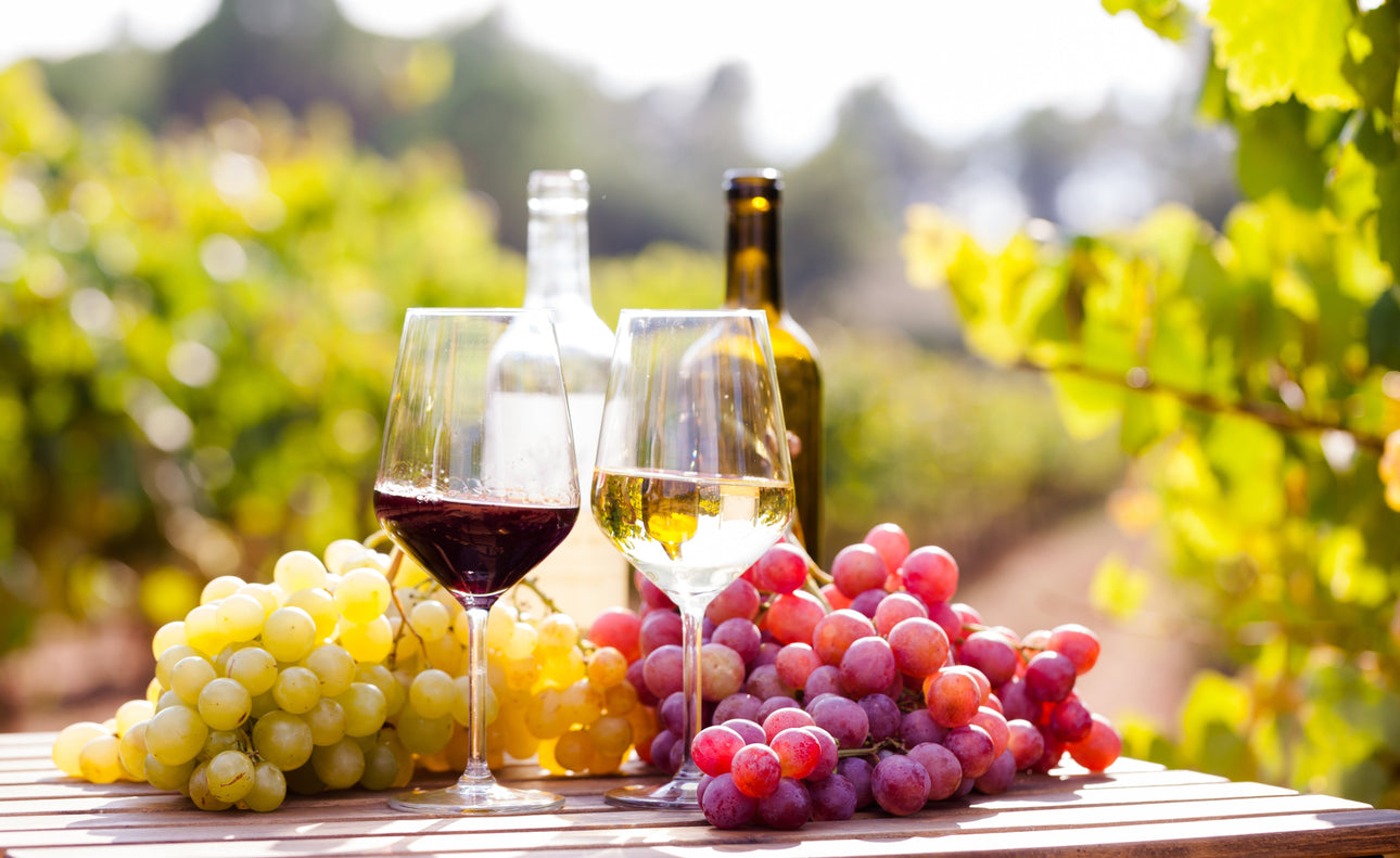 Handpicked Favorites